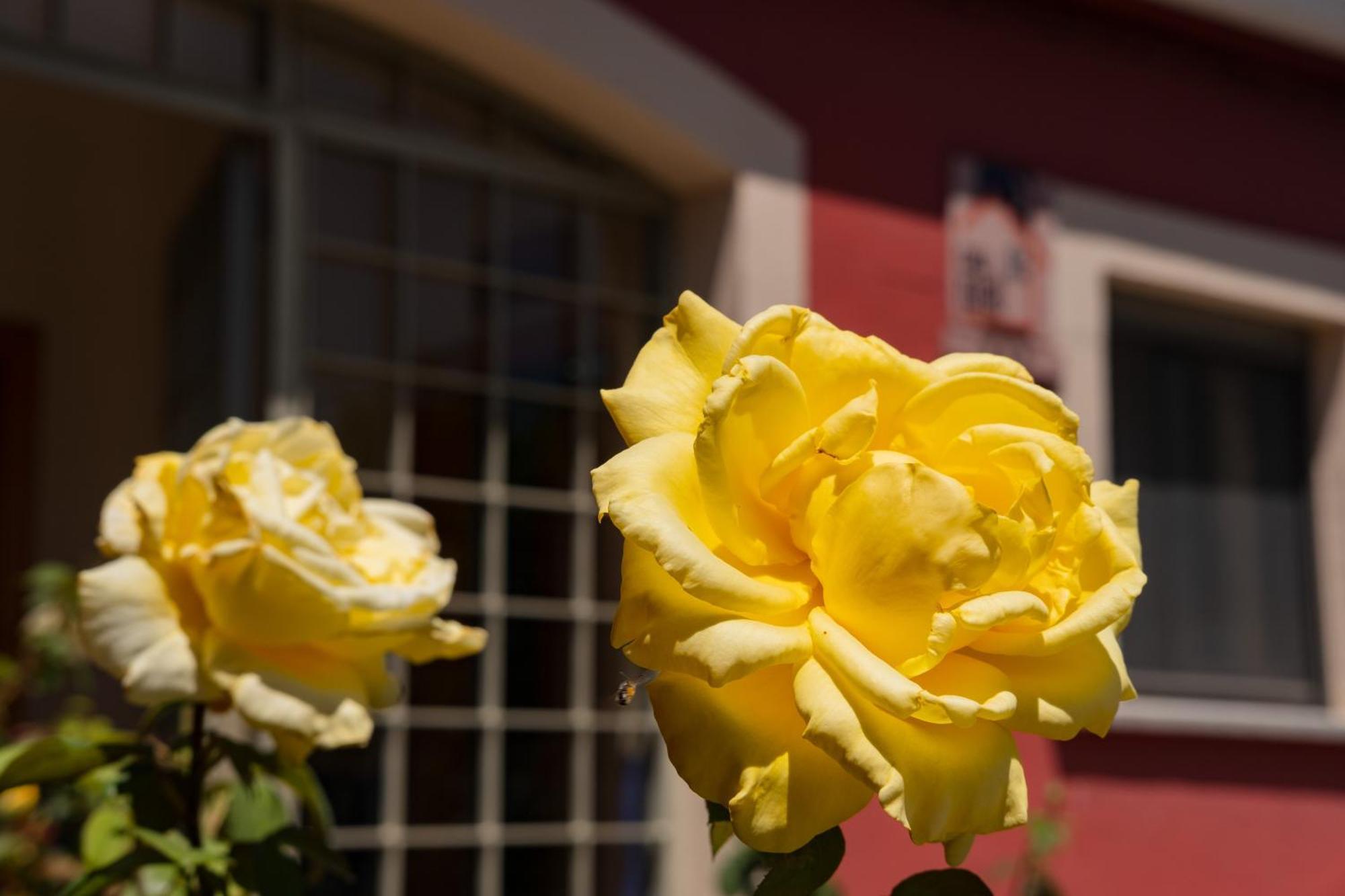 Casa Rural Rinconada La Rinconada de la Sierra 외부 사진